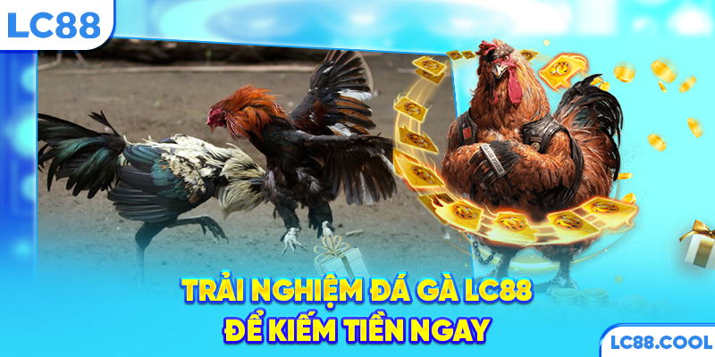 Trải nghiệm đá gà LC88 để kiếm tiền ngay